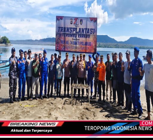 2024111911451669_copy_512x468