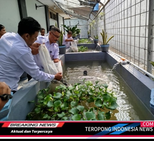 2024111913031367_copy_512x468