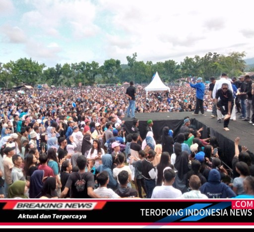 2024112303360217_copy_512x468