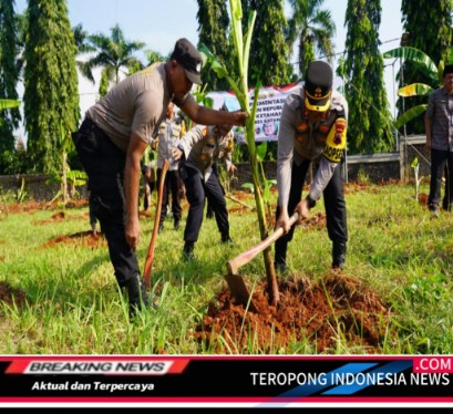 2024112310371880_copy_409x374