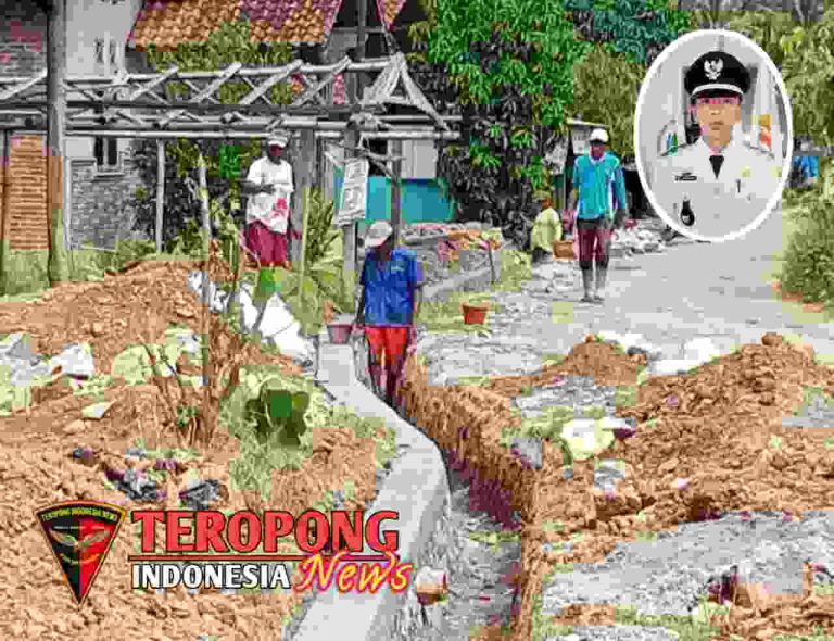 20241123_120635_copy_1280x984