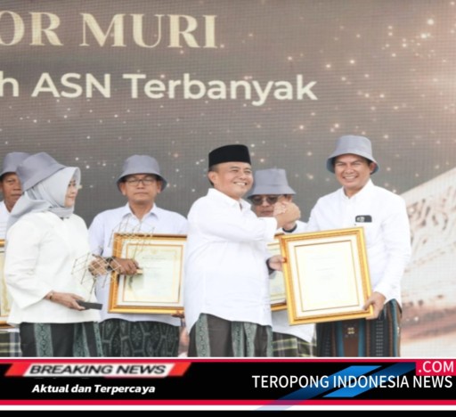 2024112510584711_copy_512x468