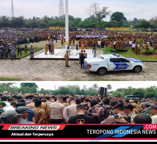 2024112605084630_copy_512x468