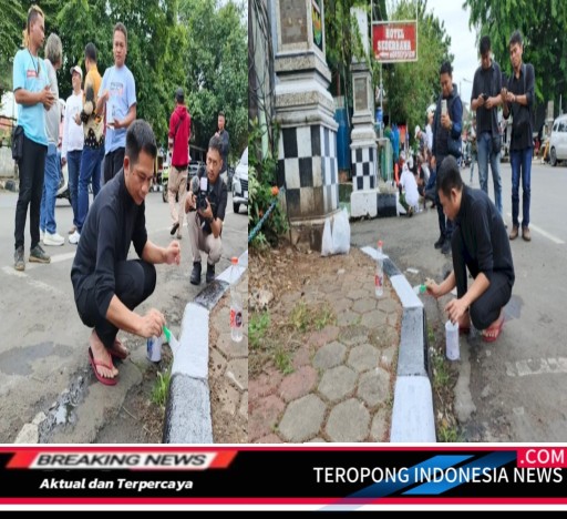 2024120504253486_copy_512x468