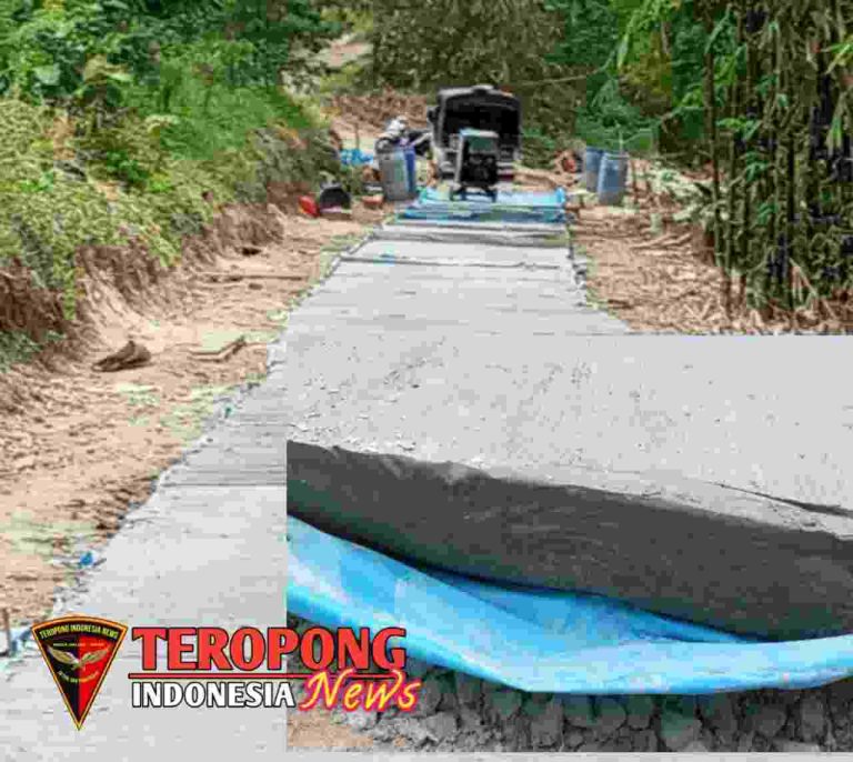 20241207_102556_copy_1280x1143