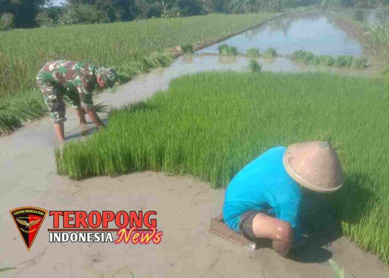 20241207_203417_copy_1280x915