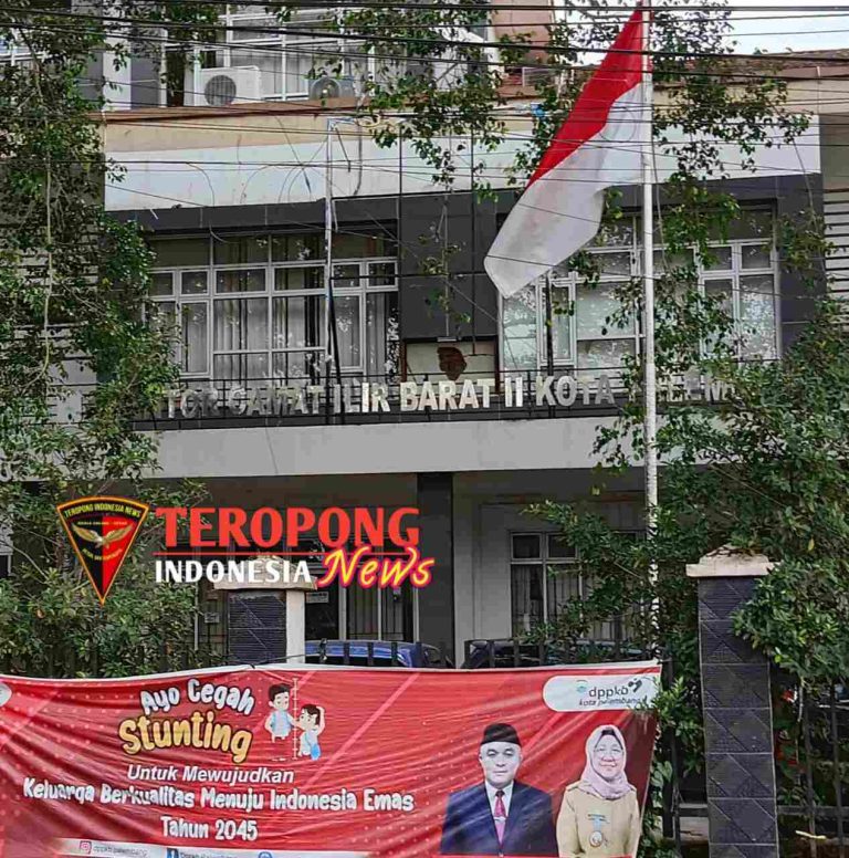 20241209_175441_copy_1267x1280