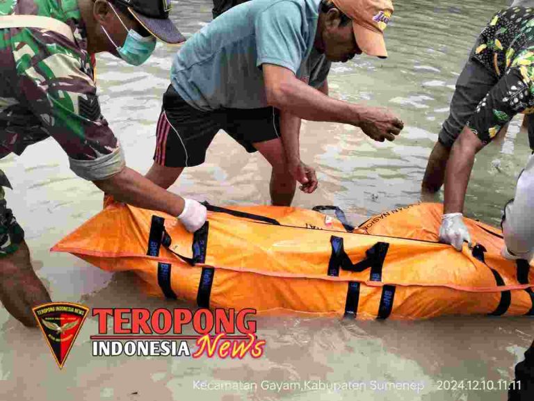 20241210_142816_copy_1280x962