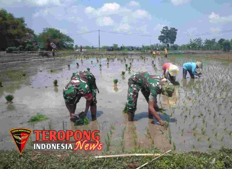 20241210_191109_copy_1280x931