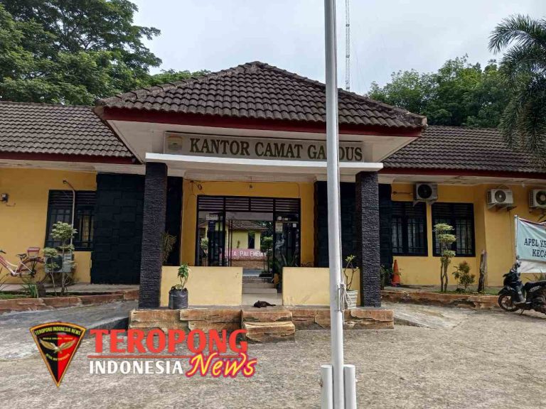 20241211_083932_copy_1280x960