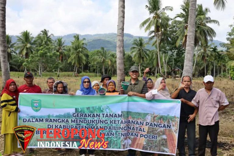 20241215_153249_copy_1280x853