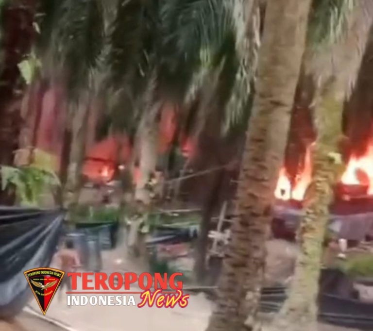 20241217_104756_copy_1280x1137