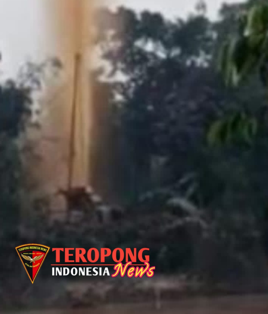 20241222_225109_copy_1094x1280