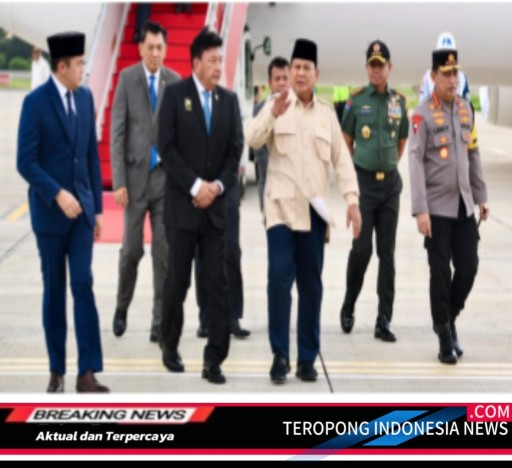 2024122318400414_copy_512x468