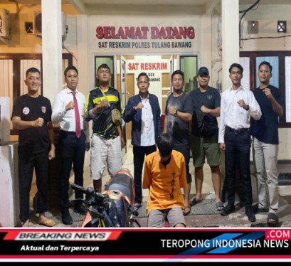 2024122412221278_copy_409x374