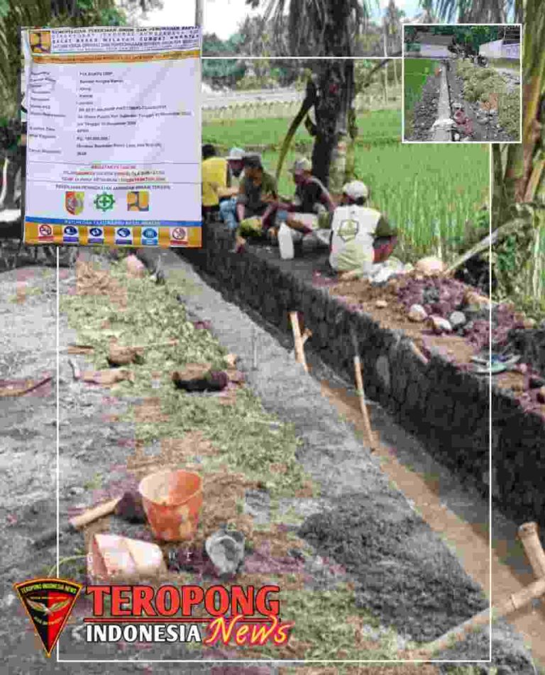 20241226_220007_copy_1033x1280