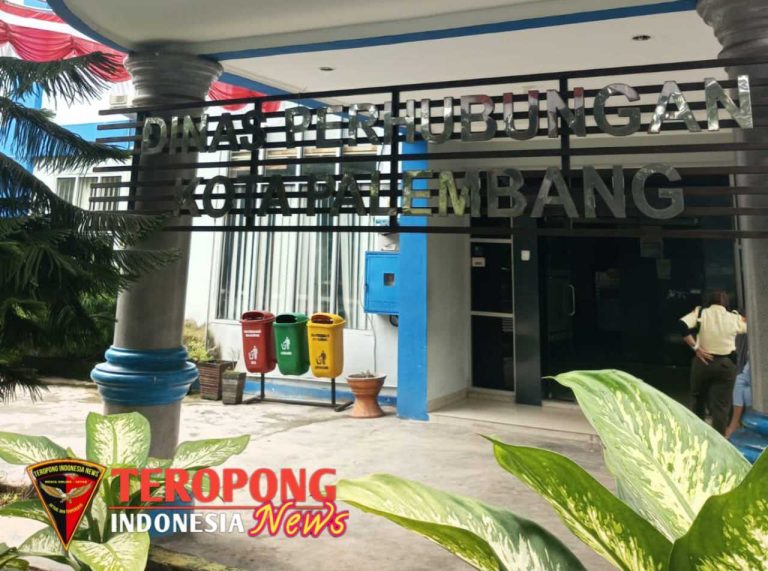 20241228_090321_copy_1280x952