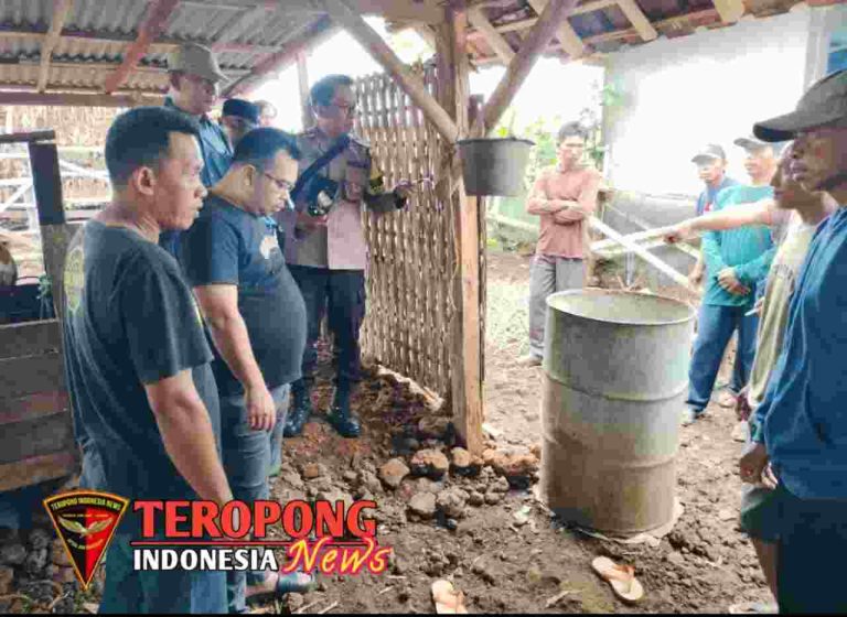 20241229_123430_copy_1280x934