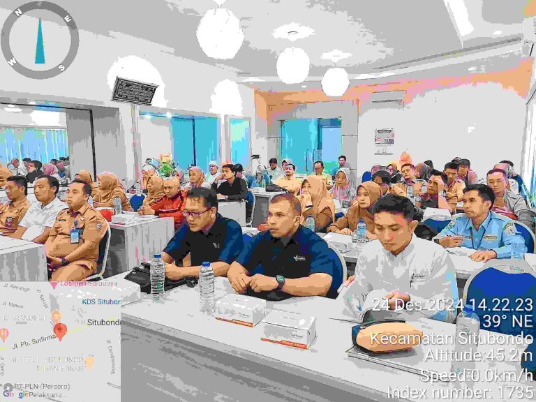 IMG-20241226-WA0046_copy_3480x2610