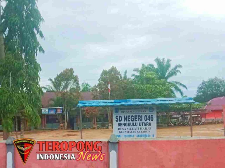 20250119_161552_copy_1280x956