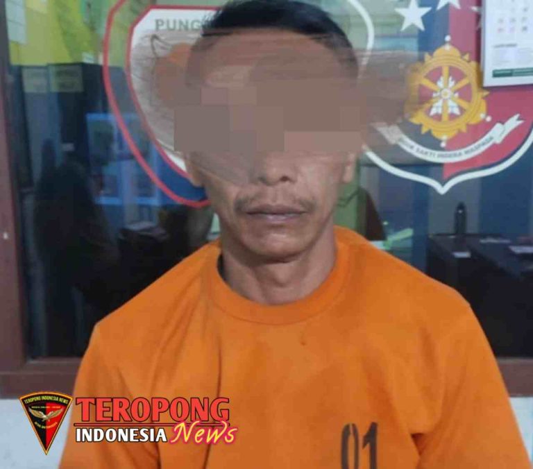 20250214_210725_copy_1280x1127