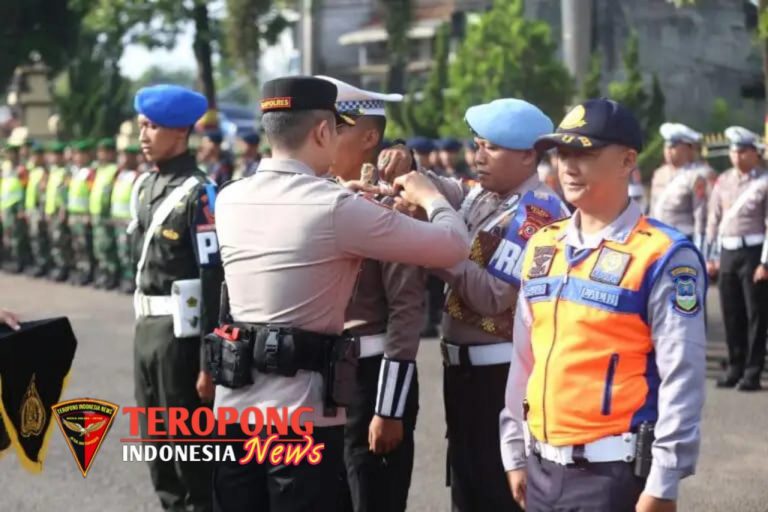 20250215_195527_copy_1280x853