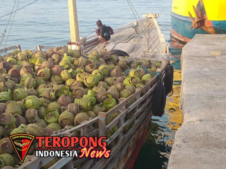 20250223_222704_copy_1280x960