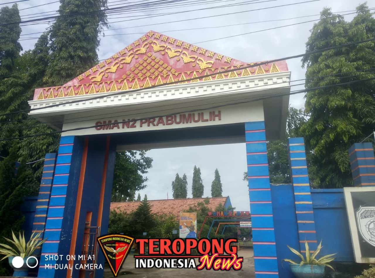 20250225_065615_copy_1280x948