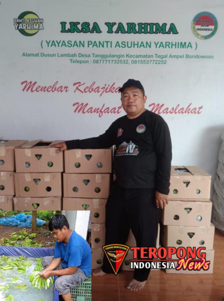 20250226_122000_copy_952x1280