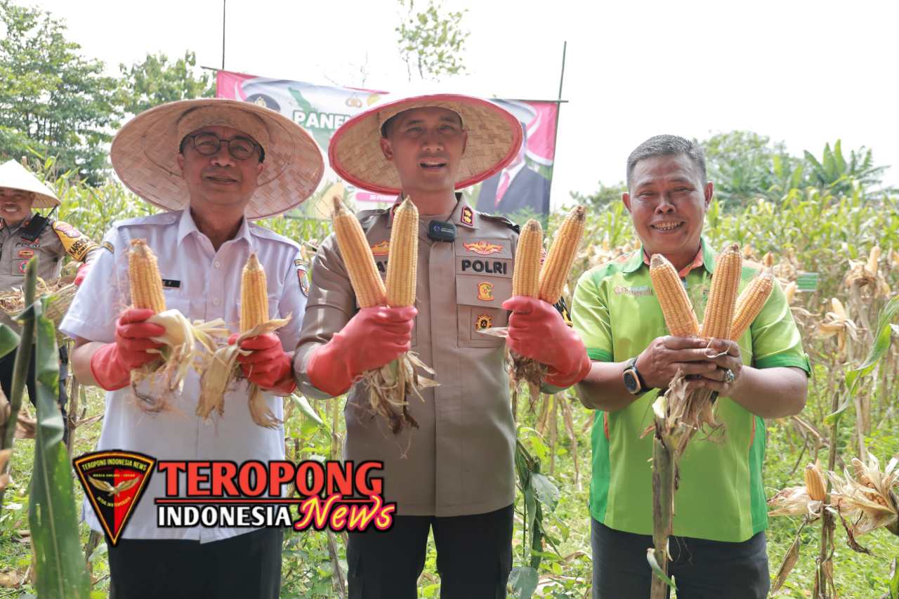 20250226_222626_copy_1280x853