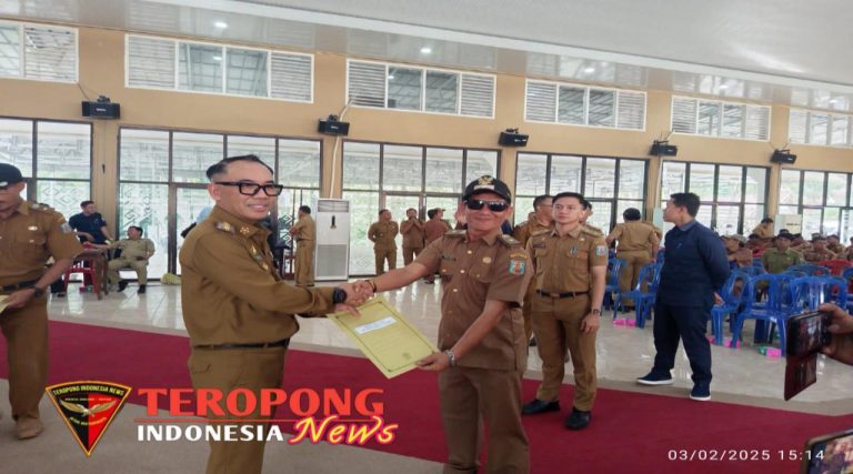 IMG_20250204_215528_copy_1280x712