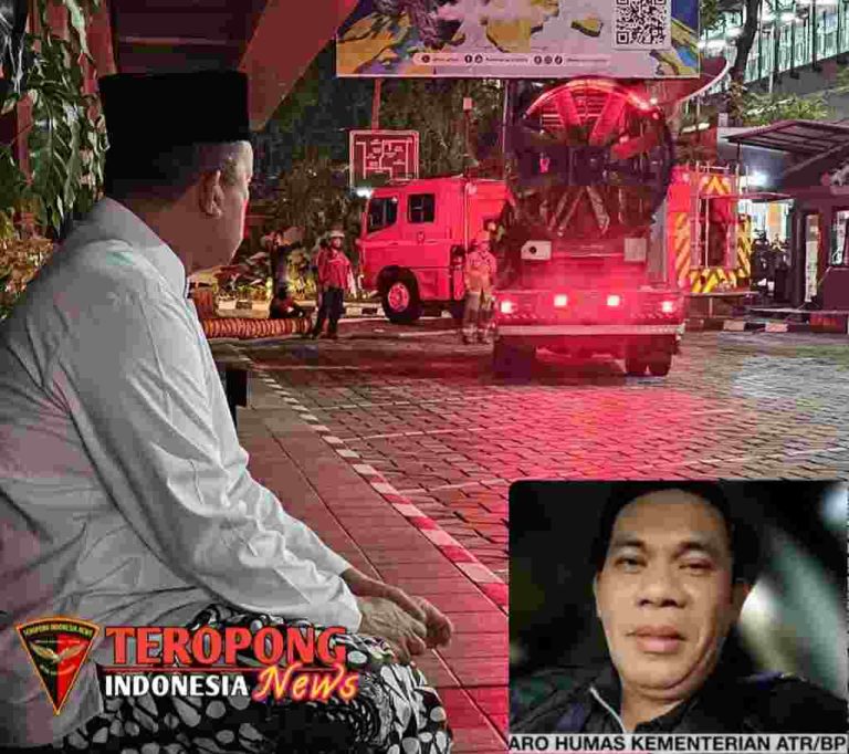 IMG_20250210_091511_copy_1023x909