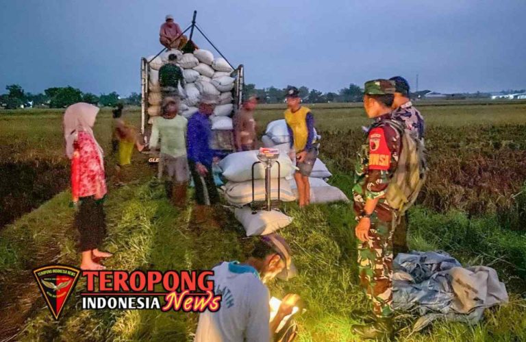 20250316_122811_copy_1280x832