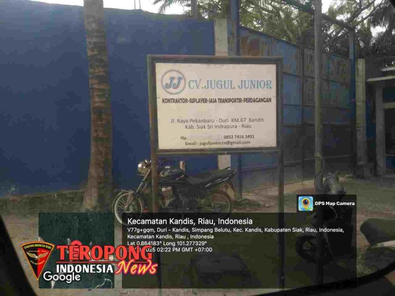 20250321_201811_copy_1280x960