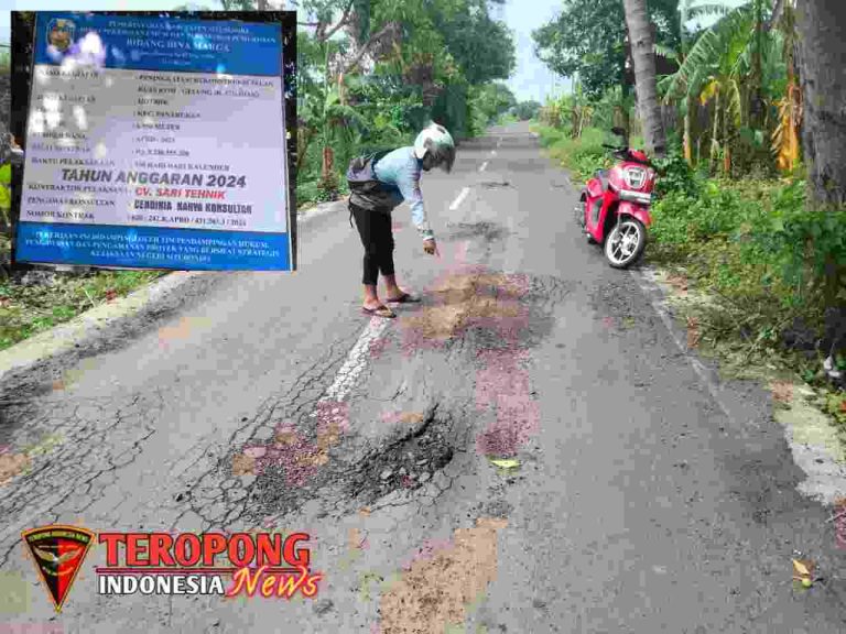 20250321_221955_copy_1280x960