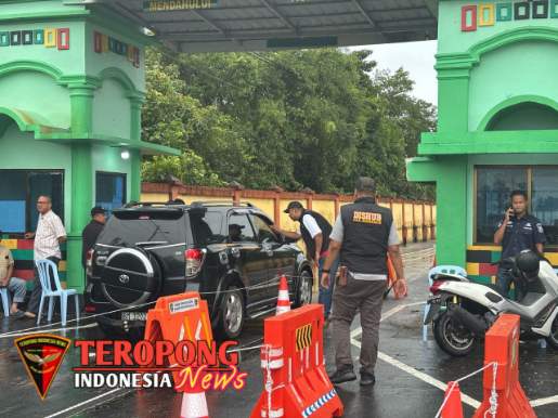 20250402_143352_copy_515x386