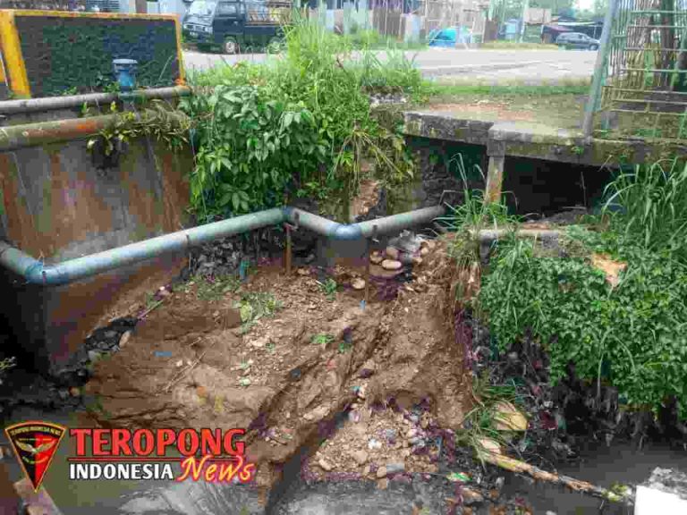 20250407_103015_copy_1280x960