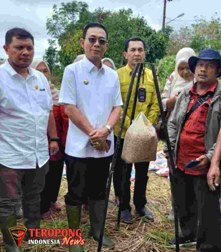 20250407_174638_copy_1125x1280