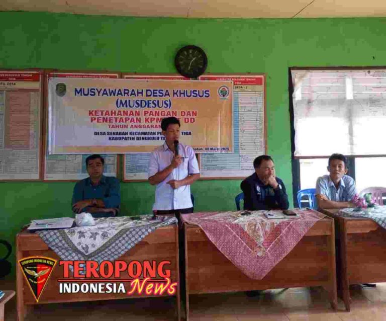 20250411_124041_copy_1280x1063