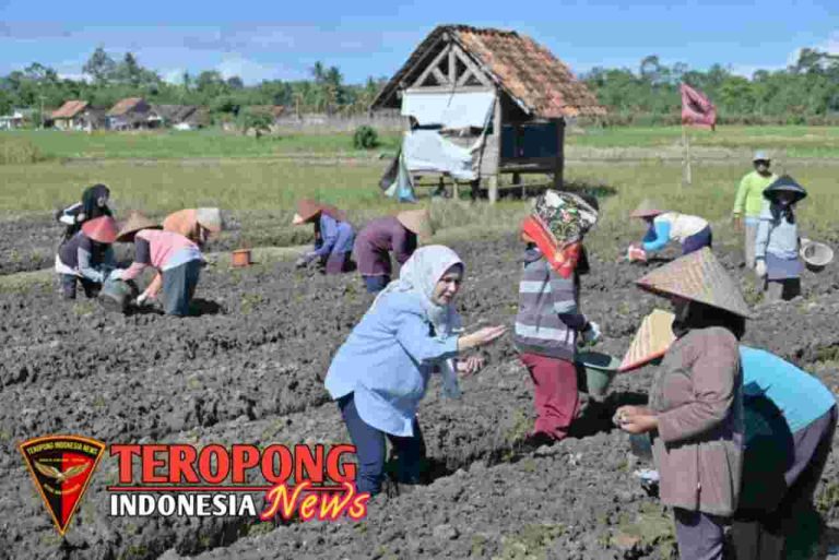 20250424_192021_copy_1280x855