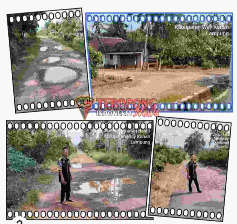 20250501_072447_copy_1280x1210