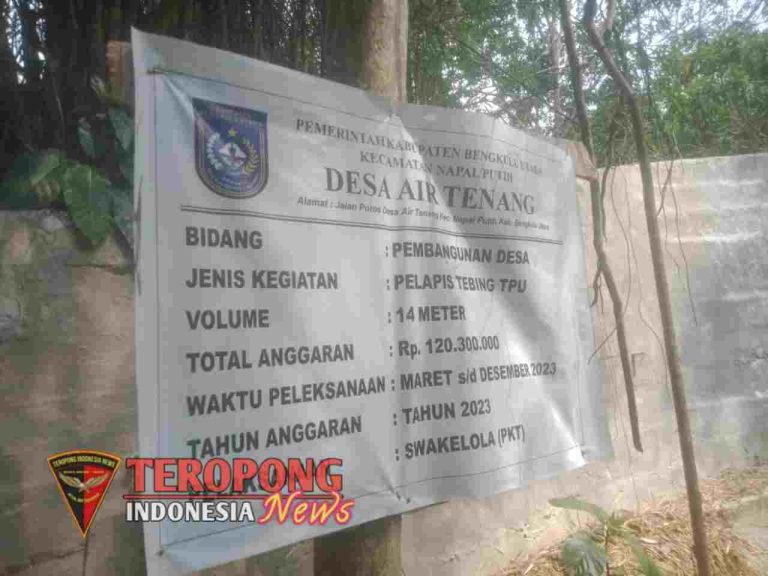 20250501_120341_copy_1280x960