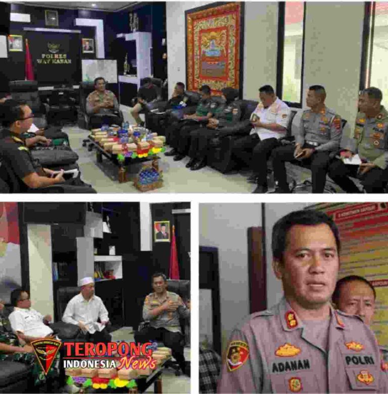 20250501_174303_copy_1259x1280