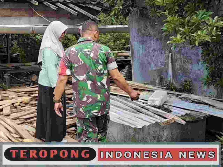 20250505_022126_copy_1280x960