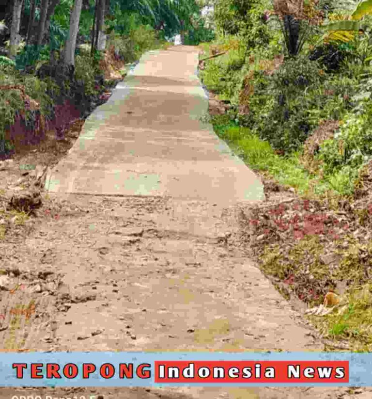 20250505_141548_copy_1195x1280