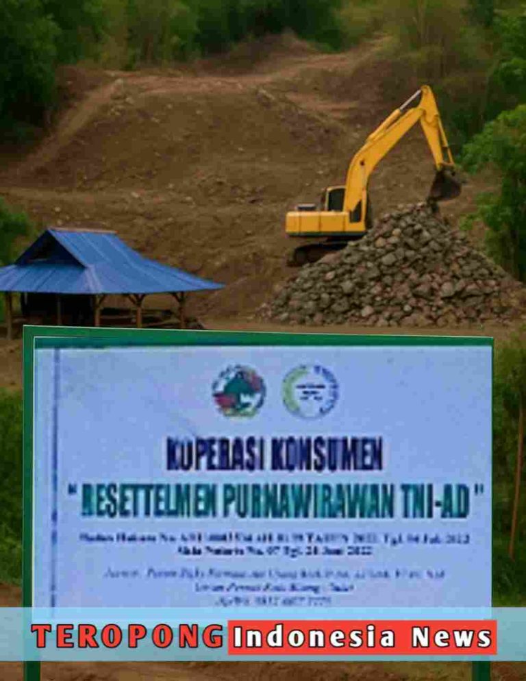 20250512_173415_copy_989x1280