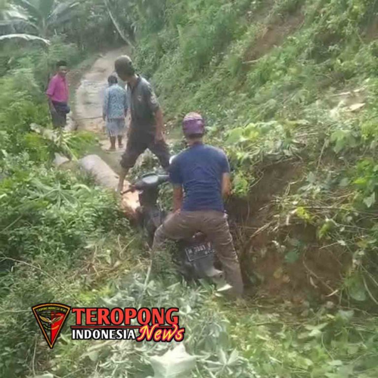 20250517_212832_copy_1280x1278