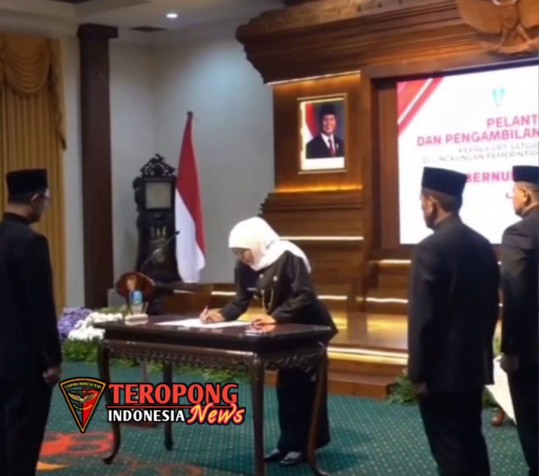 20250517_233008_copy_1280x1130