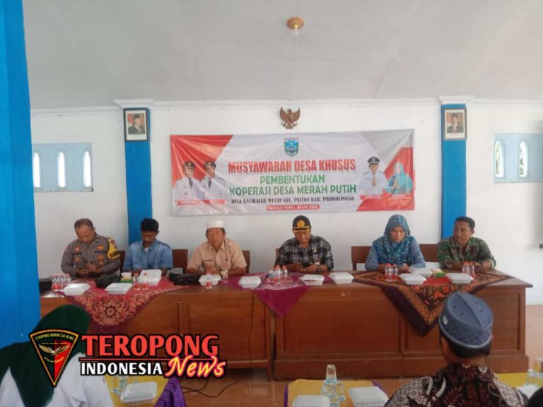 20250524_151010_copy_1280x960