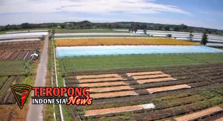 20250524_222301_copy_1280x698